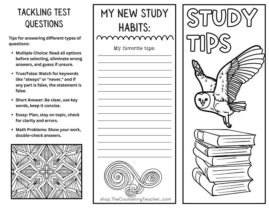 Executive Functioning Brochures Middle School