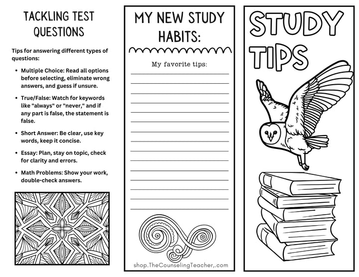 Executive Functioning Brochures Middle School