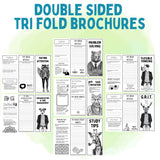 Executive Functioning Doodle Brochures for Teens
