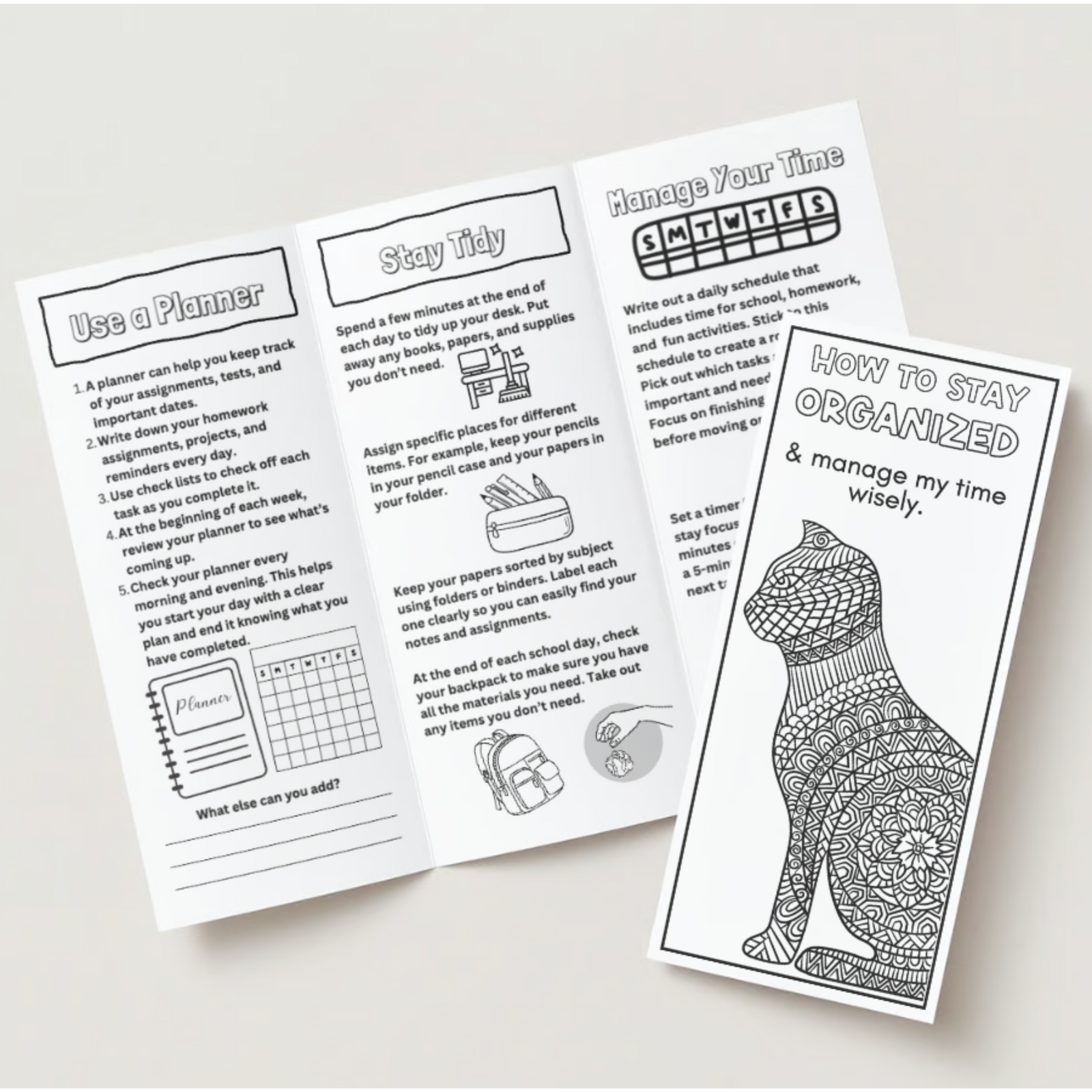 Executive Functioning Brochures