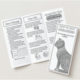 Executive Functioning Brochures