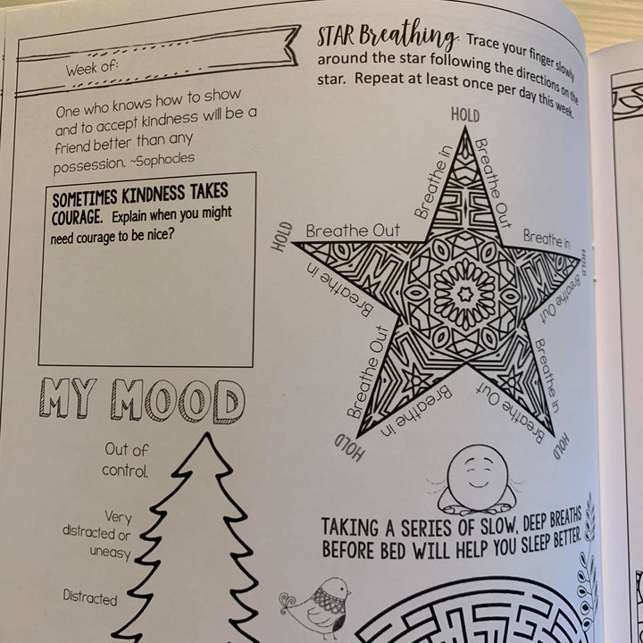 Printed SEL &amp; Growth Mindset Daily Check in Workbooks for the year (upper elementary)