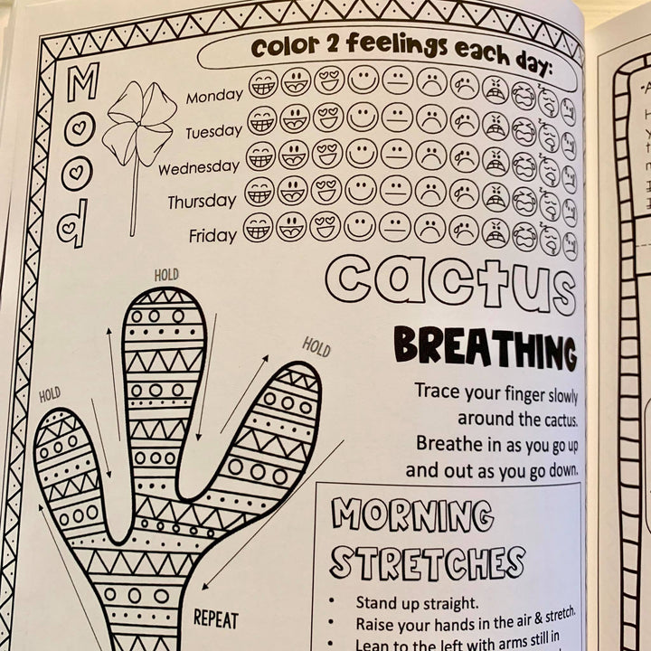 Printed &amp; Shipped Social Emotional Daily Check in Journal with Growth Mindset (lower elementary)