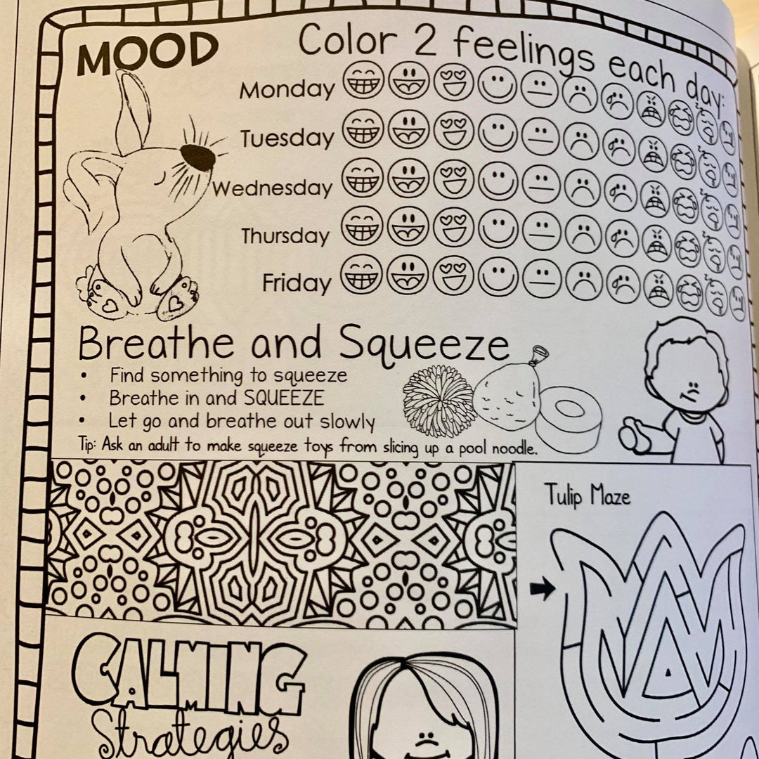 Printed &amp; Shipped Social Emotional Daily Check in Journal with Growth Mindset (lower elementary)