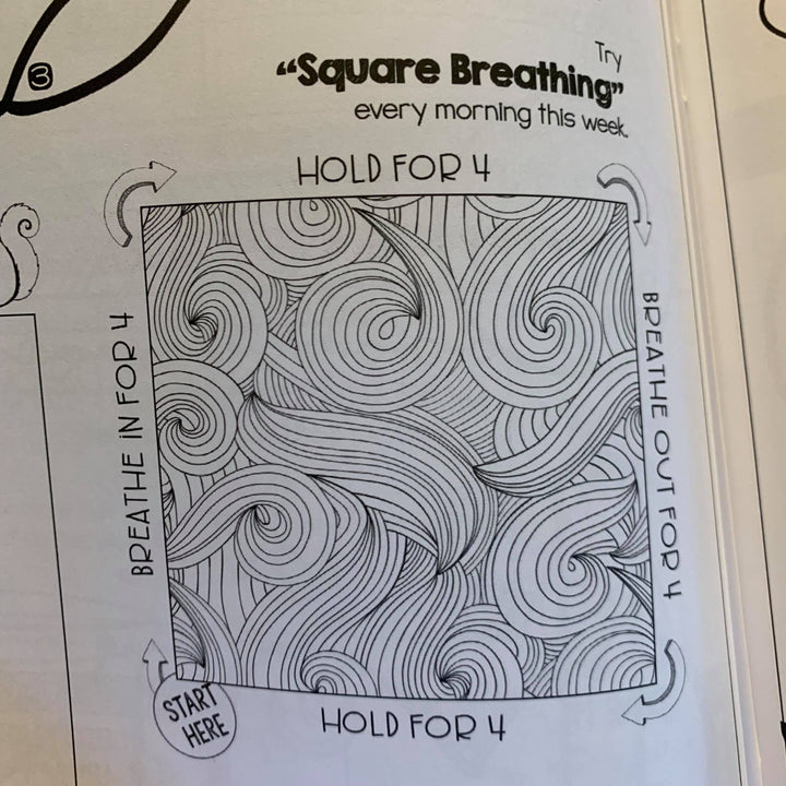 Printed SEL &amp; Growth Mindset Daily Check in Workbooks for the year (upper elementary)