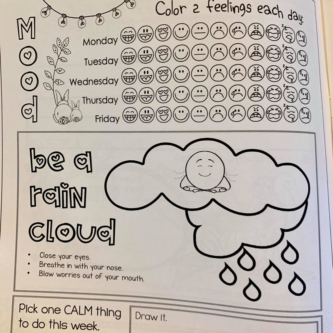 Printed &amp; Shipped Social Emotional Daily Check in Journal with Growth Mindset (lower elementary)