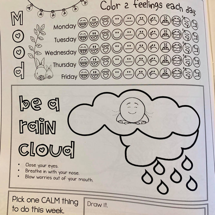 Printed &amp; Shipped Social Emotional Daily Check in Journal with Growth Mindset (lower elementary)