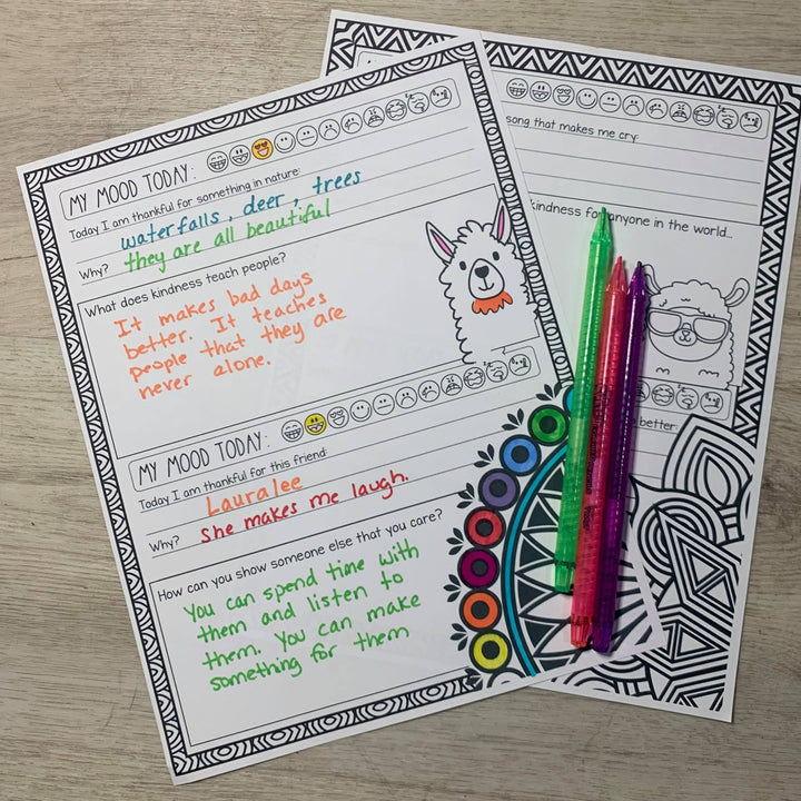 Kindness &amp; Gratitude Journal with the Calma Llama