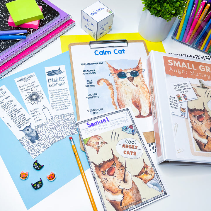 Anger Management Small Group Curriculum Grades 3rd - 7th