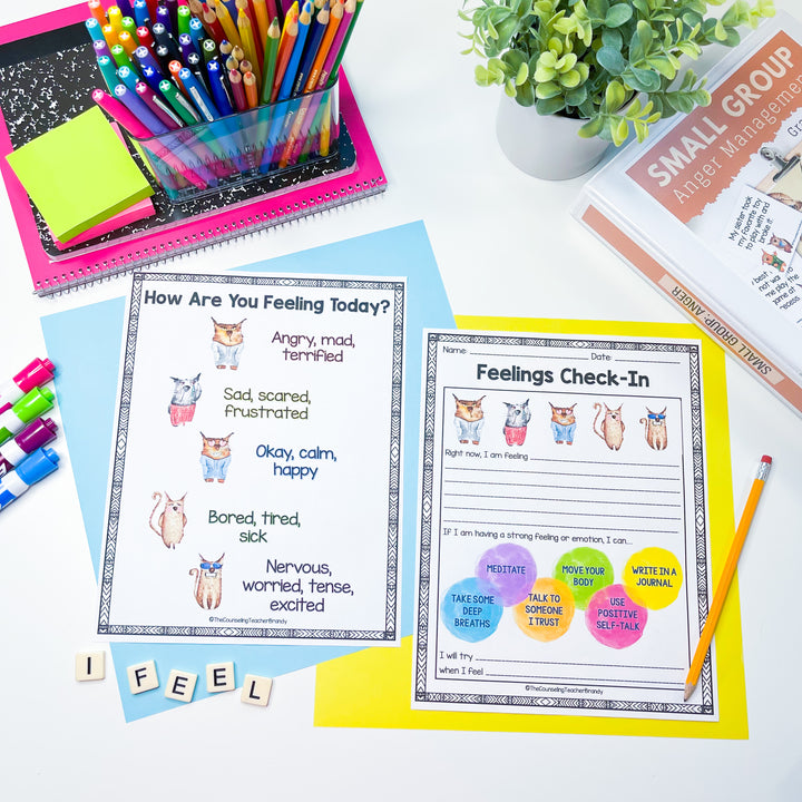 Anger Management Small Group Curriculum Grades 3rd - 7th