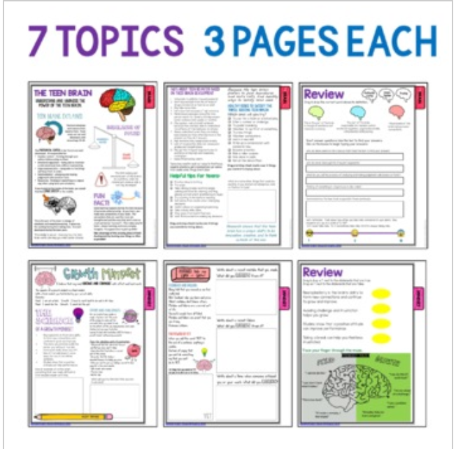 Distance Learning Social Emotional Flip Book for Teens