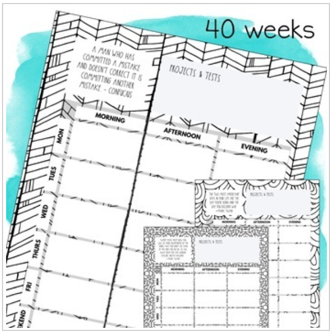 Student Planner with Study Strategies