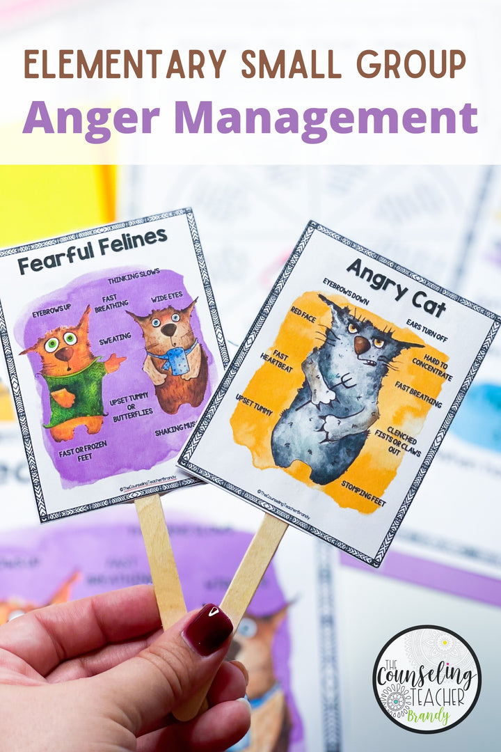 Small Group Counseling Bundle Grades 3rd-5th